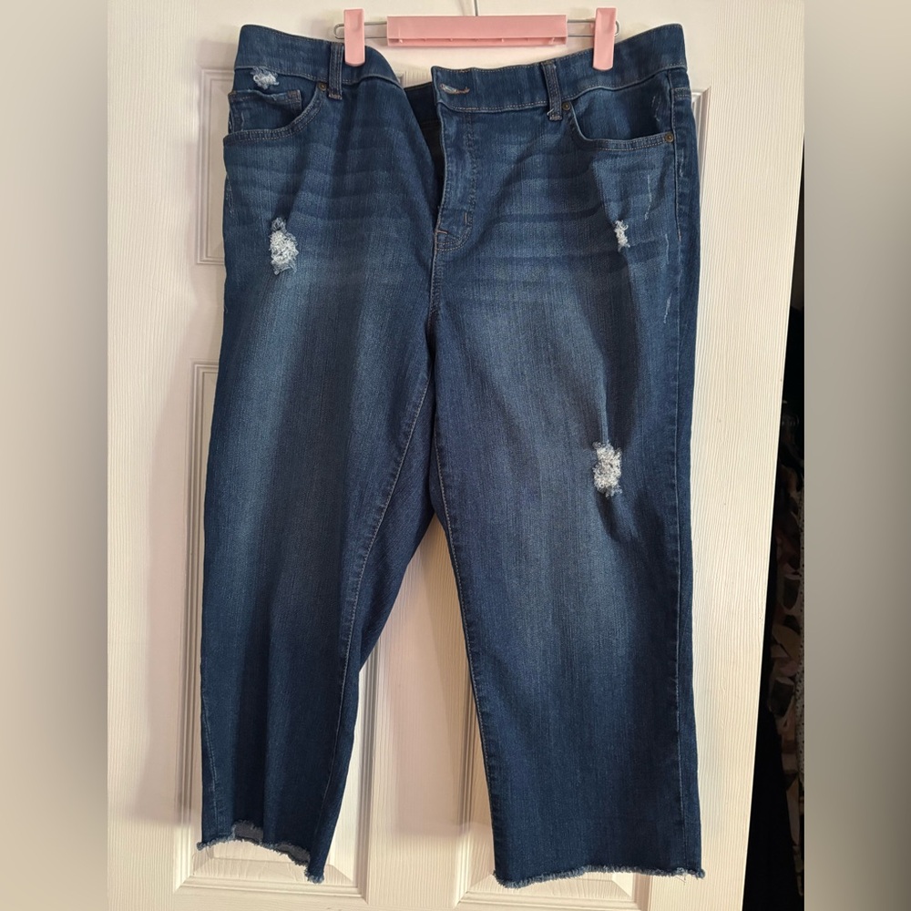 Terra & Sky Dark Blue Denim Jeans 18W